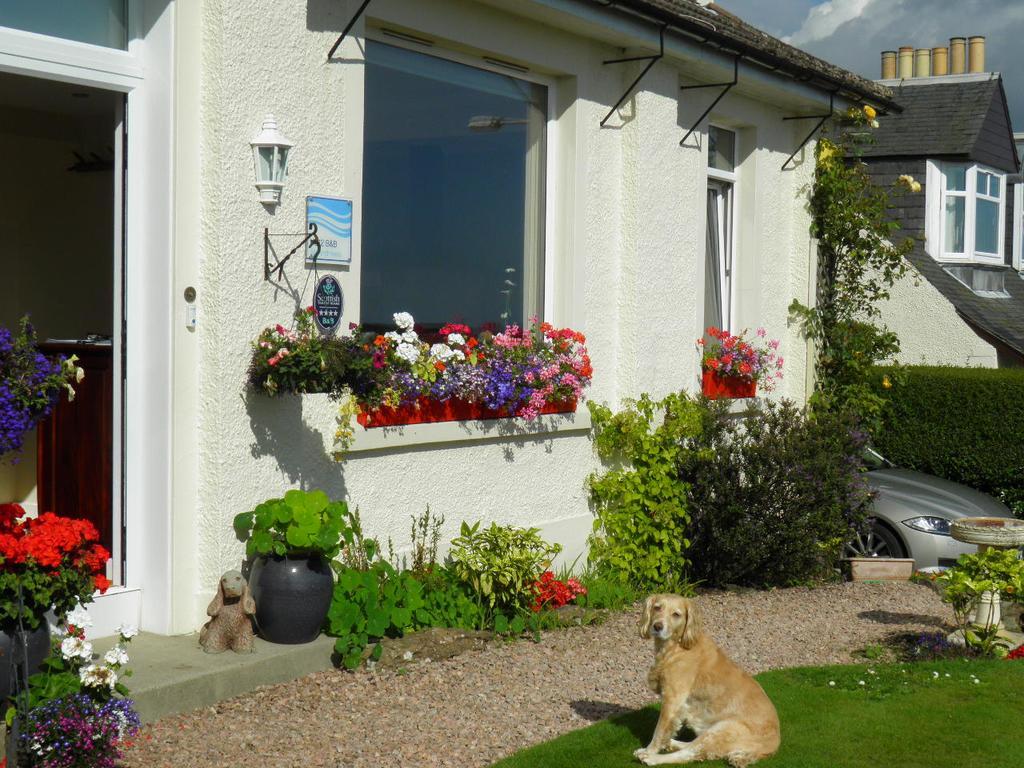 No12 Bed And Breakfast, St Andrews Dış mekan fotoğraf